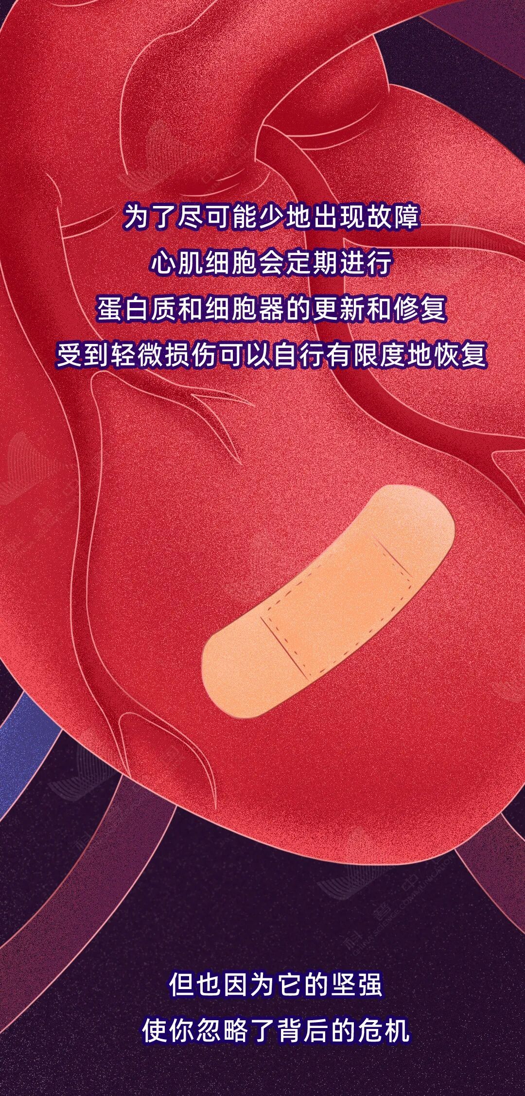 这些生活习惯,正在伤害你的心脏! 这些生活习惯,正在伤害你的心脏!