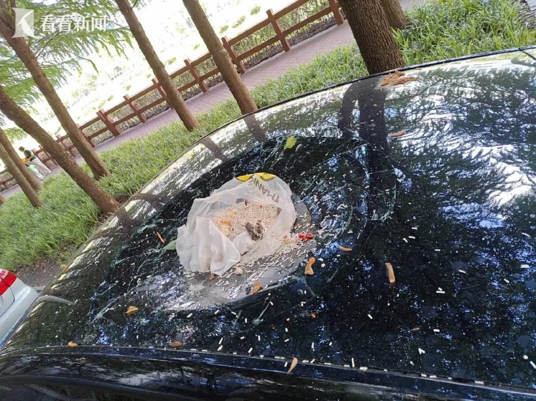 男子与妻子吵架，为泄愤将垃圾从17楼抛下砸坏汽车天窗，竟向AI“请教”企图蒙混过关
