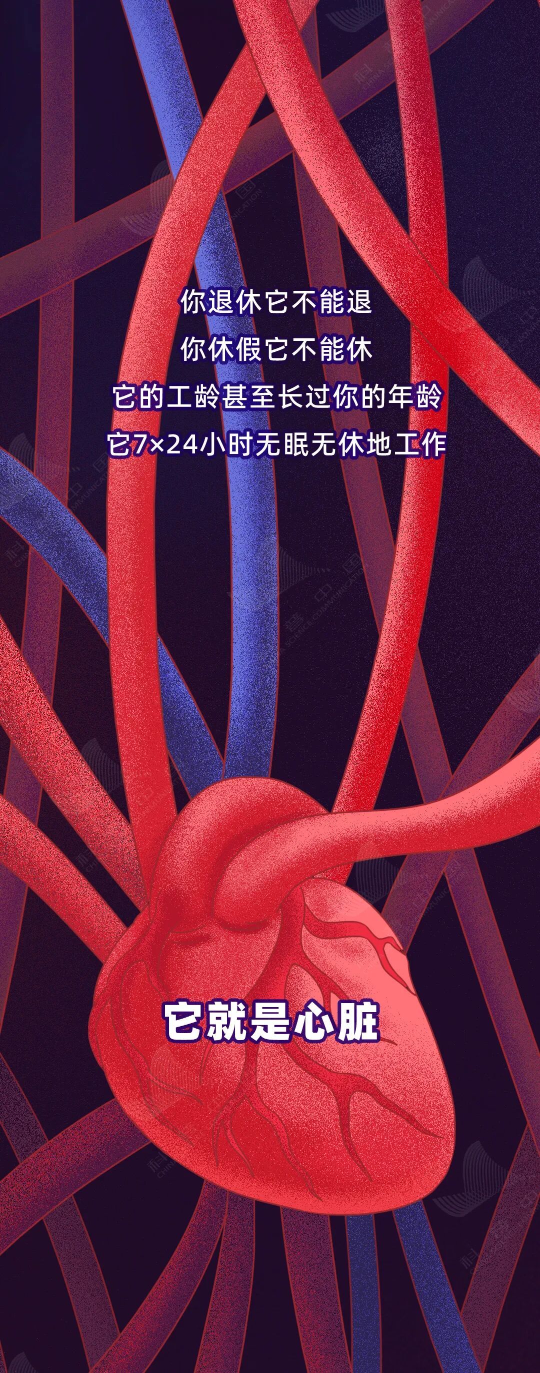 这些生活习惯,正在伤害你的心脏! 这些生活习惯,正在伤害你的心脏!