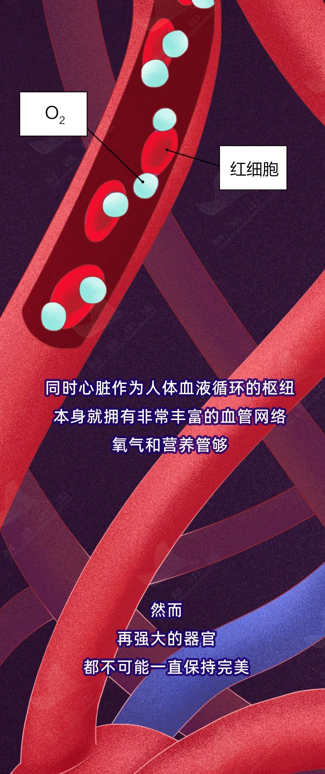 这些生活习惯,正在伤害你的心脏! 这些生活习惯,正在伤害你的心脏!