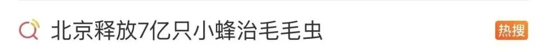 走树下都往身上掉!“北京毛毛虫”冲上热搜! 走树下都往身上掉!“北京毛毛虫”冲上热搜!