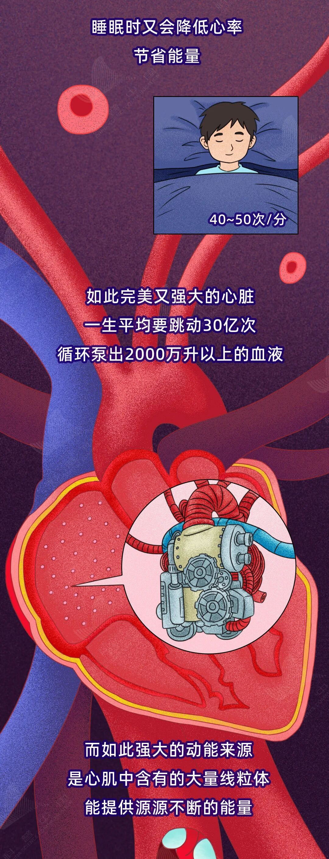 这些生活习惯,正在伤害你的心脏! 这些生活习惯,正在伤害你的心脏!