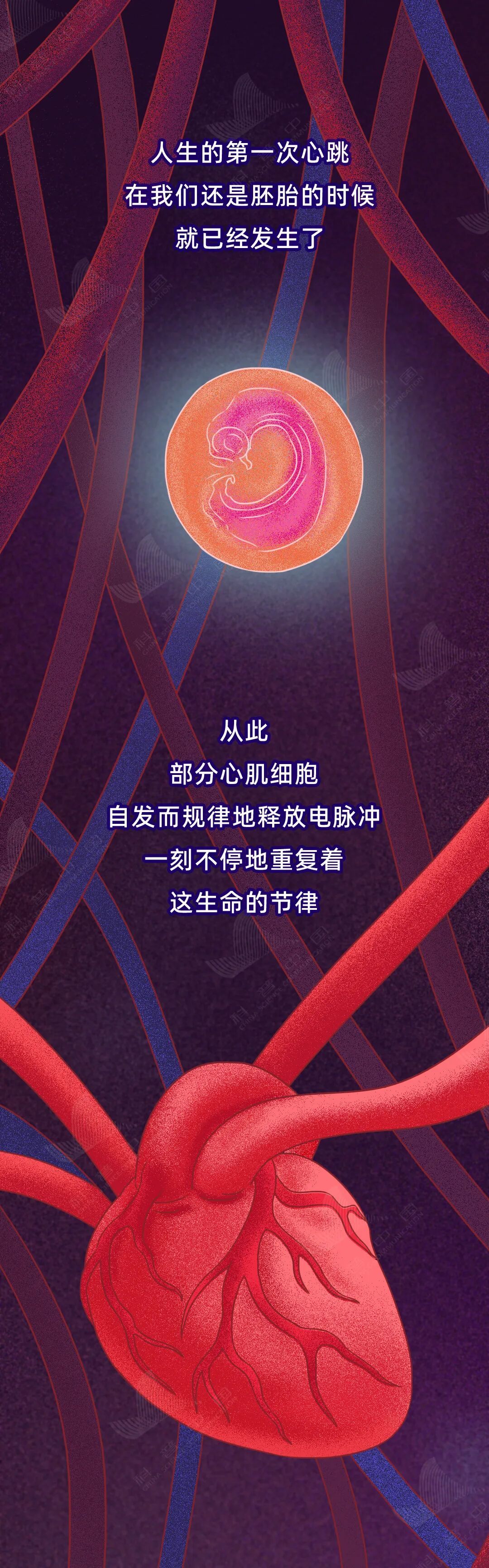 这些生活习惯,正在伤害你的心脏! 这些生活习惯,正在伤害你的心脏!