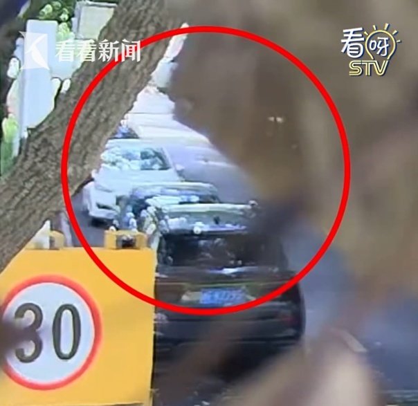 男子为泄愤从17楼丢垃圾砸碎特斯拉,还向AI求助对策…上海警方已对其采取刑事强制措施 男子为泄愤从17楼丢垃圾砸碎特斯拉,还向AI求助对策…上海警方已对其采取刑事强制措施