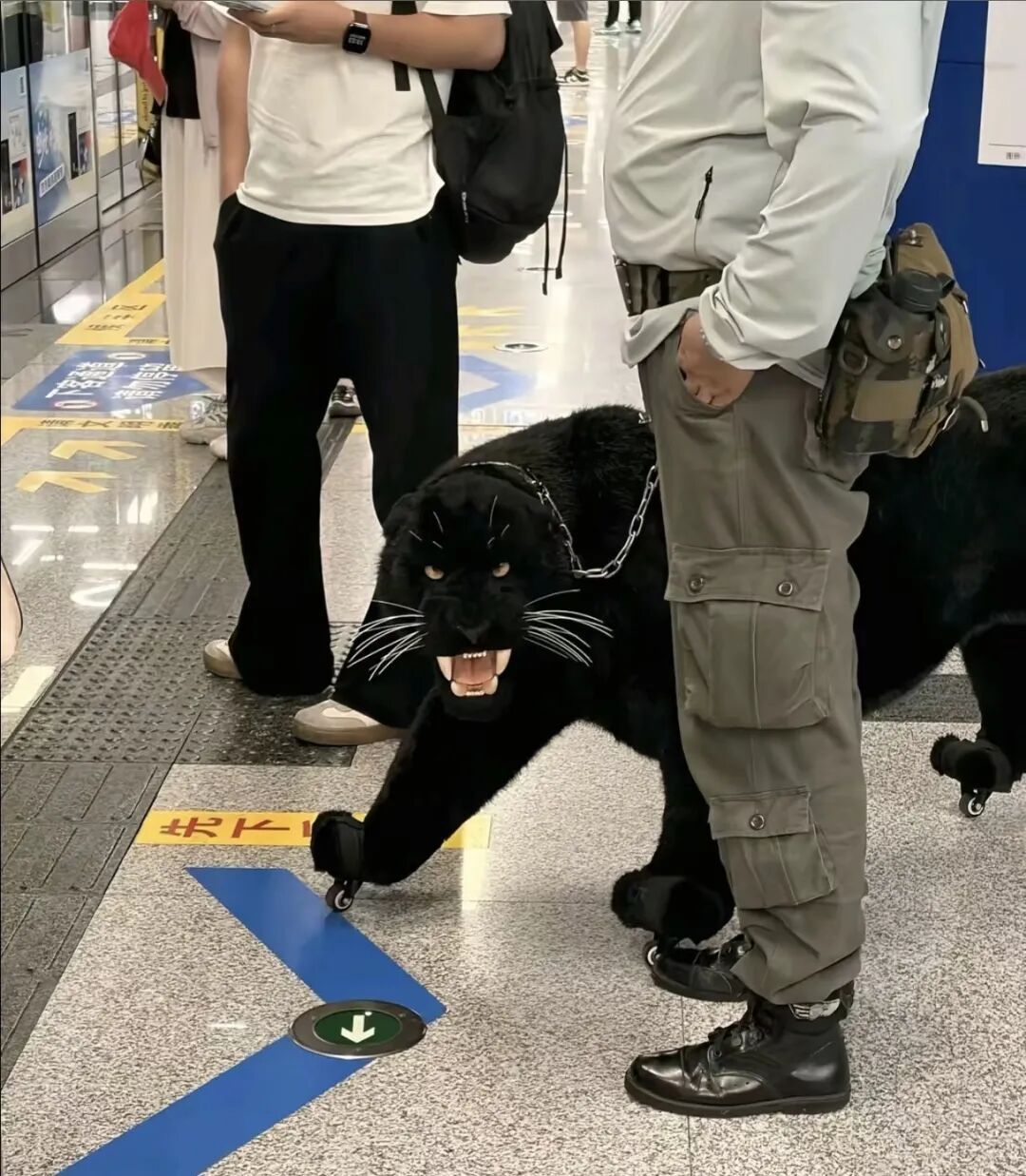 地铁站里有人“牵黑豹”？走近一看，网友：求链接！