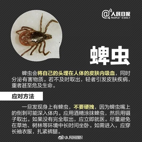 千万别碰！昆明已有人中招，专家提醒……