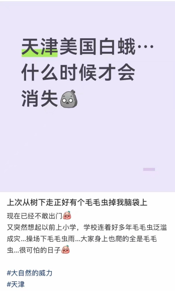 “北京毛毛虫”冲上热搜，发现可打12345！