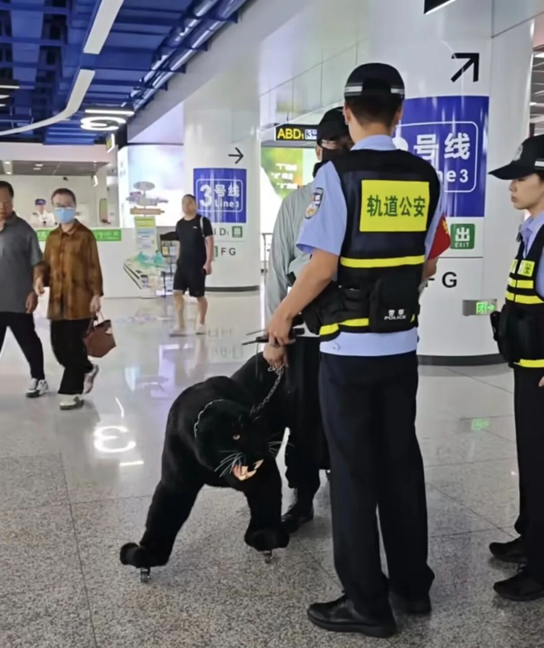地铁站里有人“牵黑豹”？走近一看，四只脚上全是轮子，网友推测“它是一只行李箱”