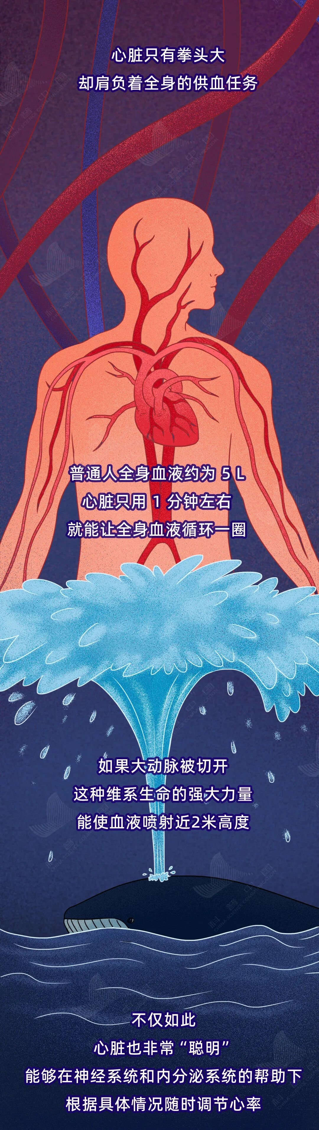 这些生活习惯,正在伤害你的心脏! 这些生活习惯,正在伤害你的心脏!