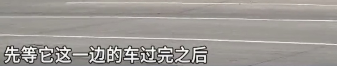 江门一环岛红绿灯只在“高峰上班”，平峰闪黄灯？街坊担心过街存隐患，当地回应