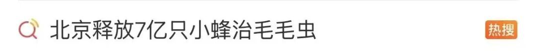 “北京毛毛虫”冲上热搜，发现可打12345！
