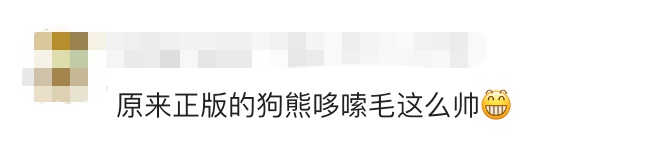 全网跟跳！“狗熊哆嗦毛”，啥来头？