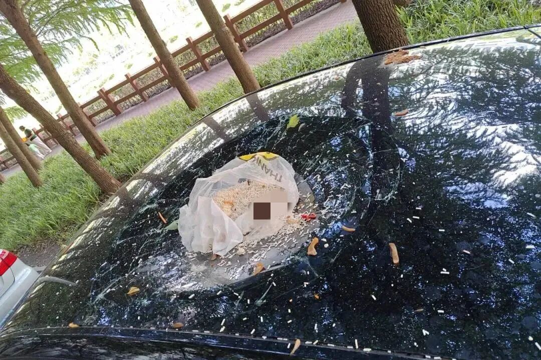 男子为泄愤从17楼扔垃圾砸穿轿车天窗，事后找AI想对策，单位：解聘，警方：已刑拘