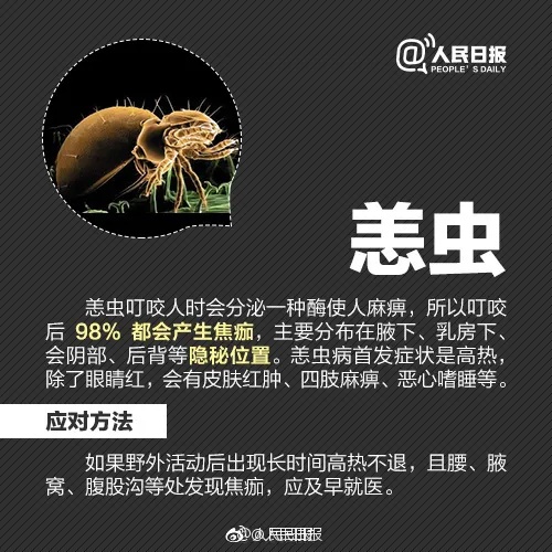 千万别碰！昆明已有人中招，专家提醒……