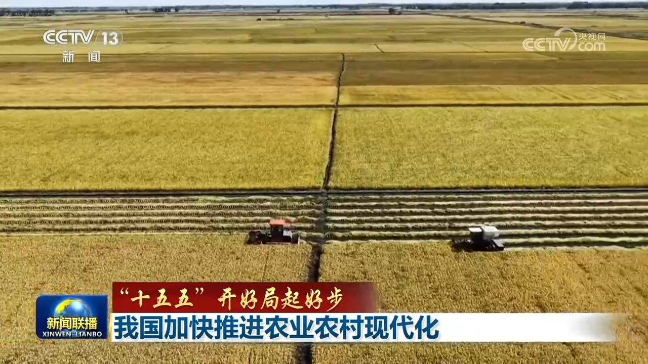 【“十五五”开好局起好步】我国加快推进农业农村现代化 【“十五五”开好局起好步】我国加快推进农业农村现代化