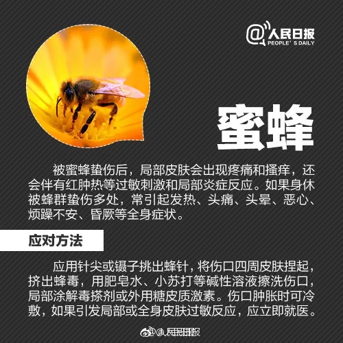 千万别碰！昆明已有人中招，专家提醒……