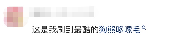 全网跟跳！“狗熊哆嗦毛”，啥来头？