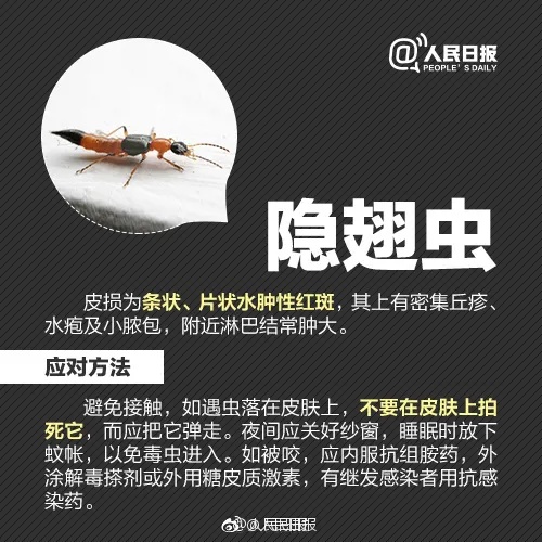 千万别碰！昆明已有人中招，专家提醒……