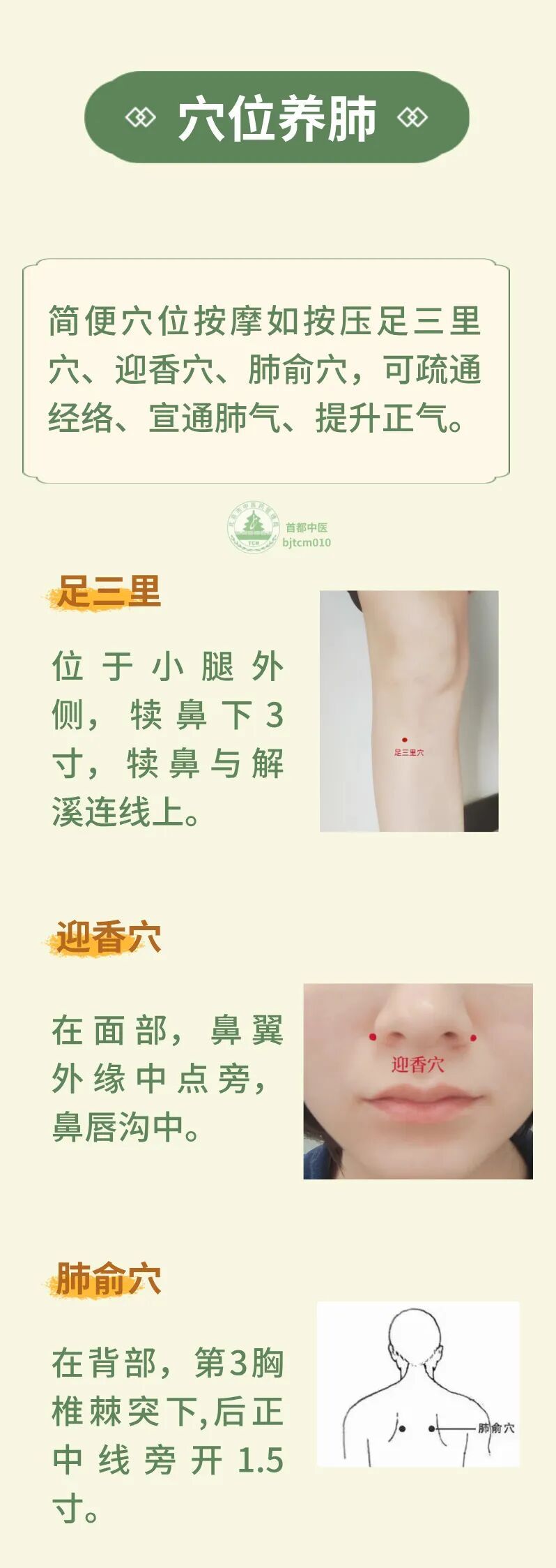 呼吸道问题总反复?中医教您筑牢肺部防线 呼吸道问题总反复?中医教您筑牢肺部防线