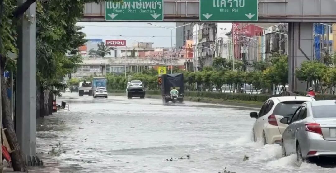 一地洪水淹城,大量蛇和鳄鱼出现在街道甚至居民家中 一地洪水淹城,大量蛇和鳄鱼出现在街道甚至居民家中