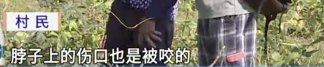 “咬了很多次”!韶关一村出现大量红火蚁,不少村民被咬伤…… “咬了很多次”!韶关一村出现大量红火蚁,不少村民被咬伤……