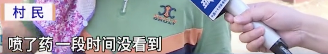 “咬了很多次”!韶关一村出现大量红火蚁,不少村民被咬伤…… “咬了很多次”!韶关一村出现大量红火蚁,不少村民被咬伤……