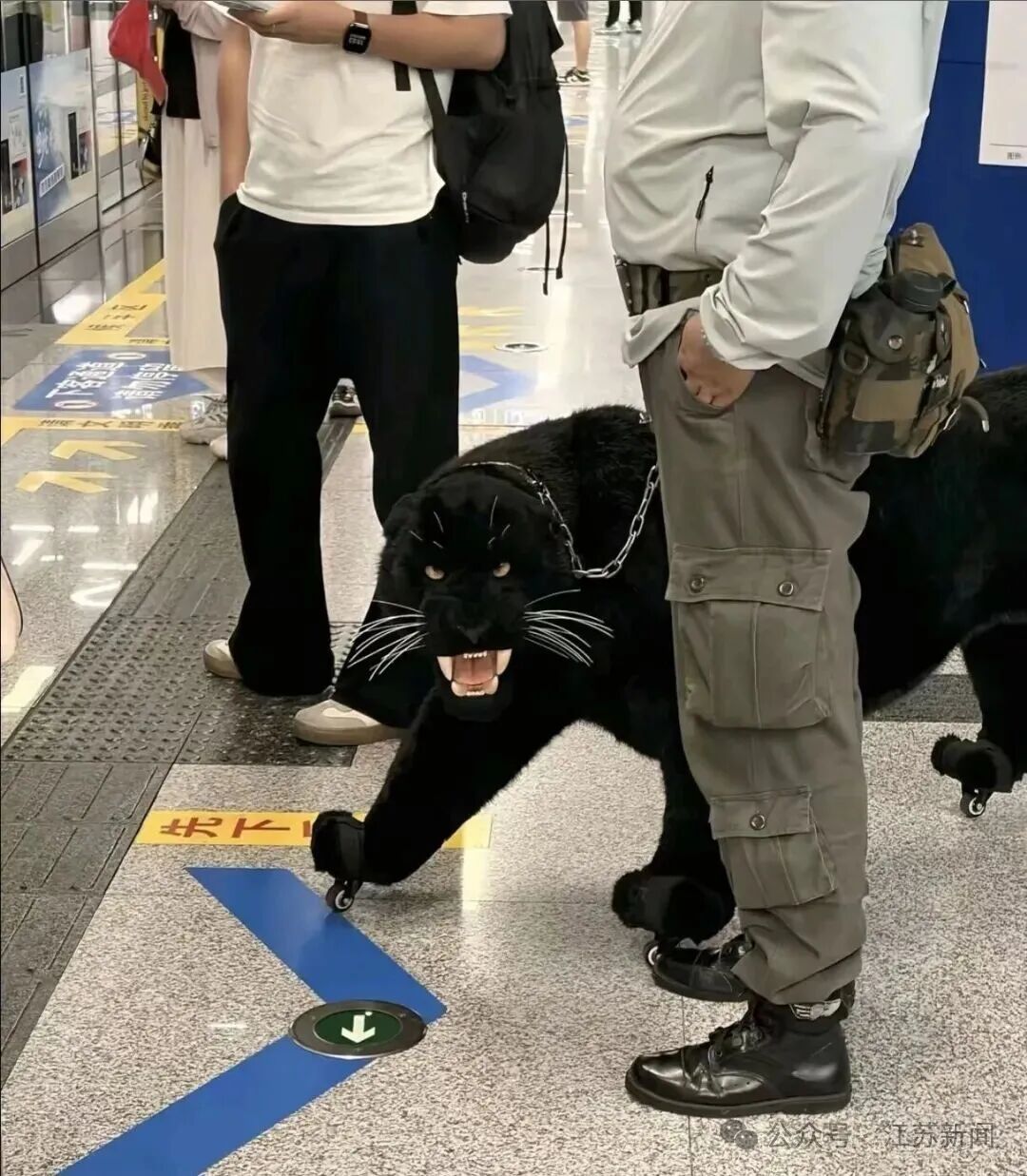 地铁站里有人牵着一只“黑豹”?走近一看,四只脚全是轮子……济南地铁回应 地铁站里有人牵着一只“黑豹”?走近一看,四只脚全是轮子……济南地铁回应