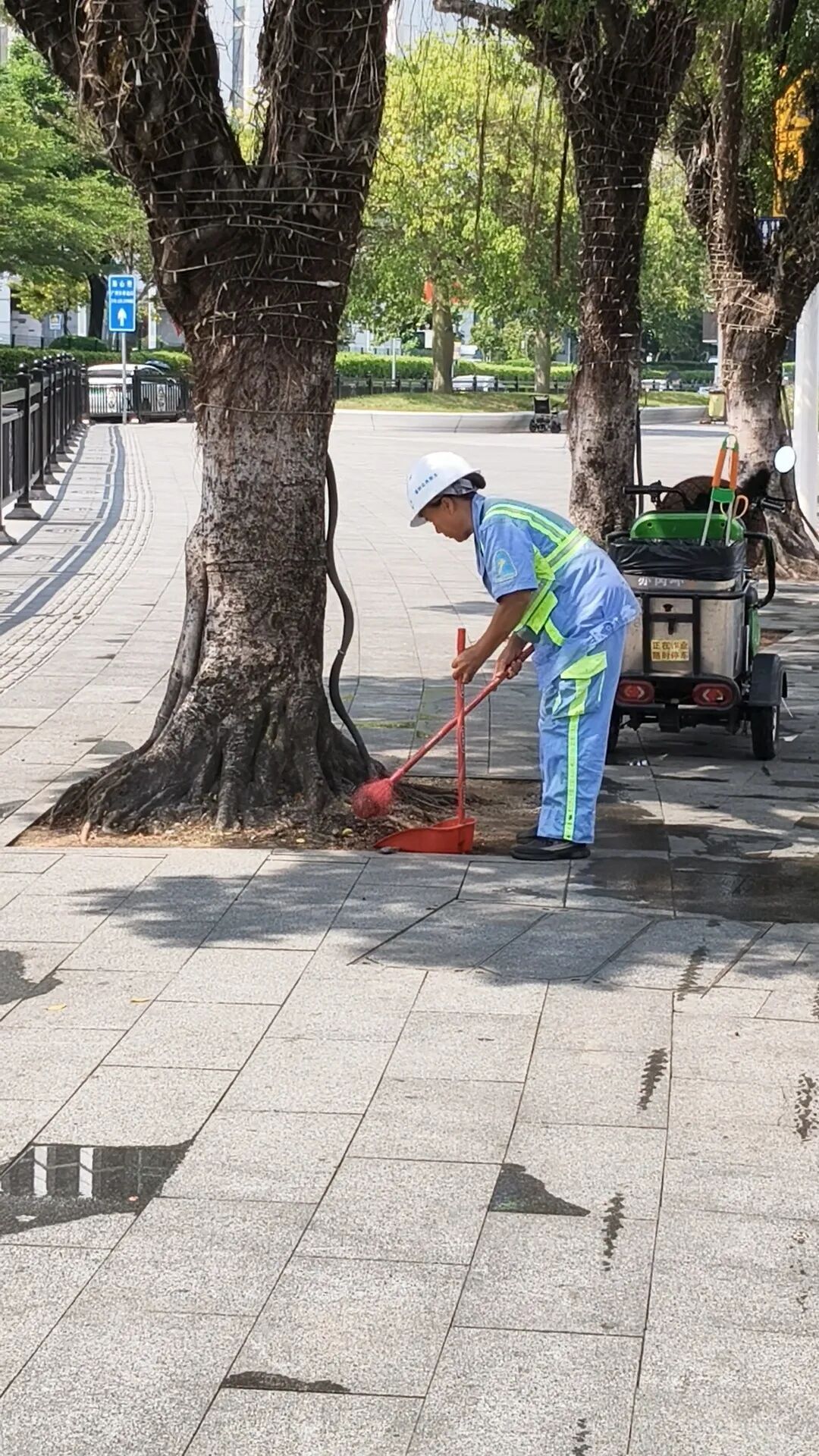 广州今起全市大扫除！