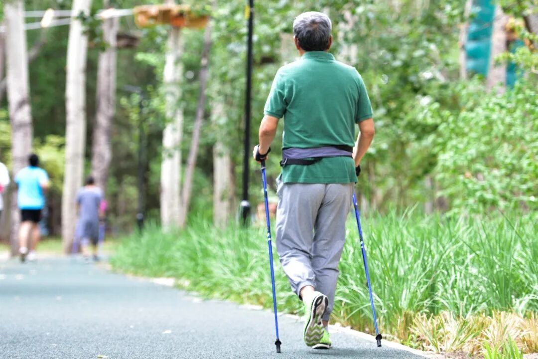为什么一到秋天“出门欲”就来了？研究：多接触自然，血压、睡眠都变好