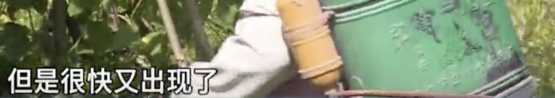 “咬了很多次”!韶关一村出现大量红火蚁,不少村民被咬伤…… “咬了很多次”!韶关一村出现大量红火蚁,不少村民被咬伤……