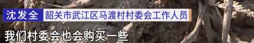 “咬了很多次”!韶关一村出现大量红火蚁,不少村民被咬伤…… “咬了很多次”!韶关一村出现大量红火蚁,不少村民被咬伤……