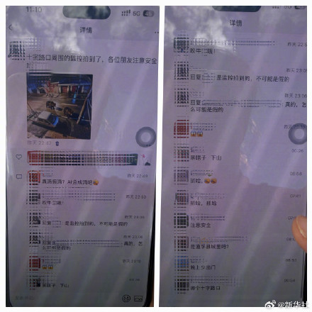 AI合成棕熊图引恐慌两人被罚