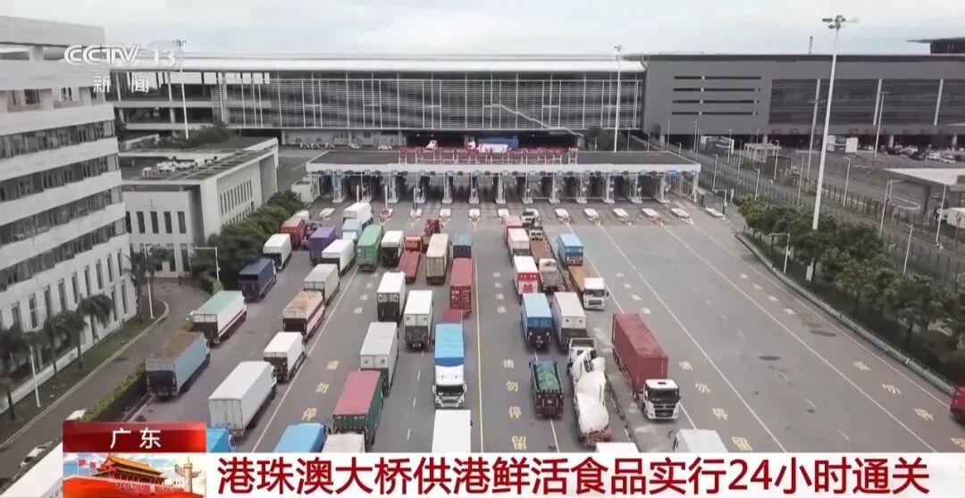 今天起，经港珠澳大桥供港鲜活食品通关时间由每天16小时延长至全天24小时