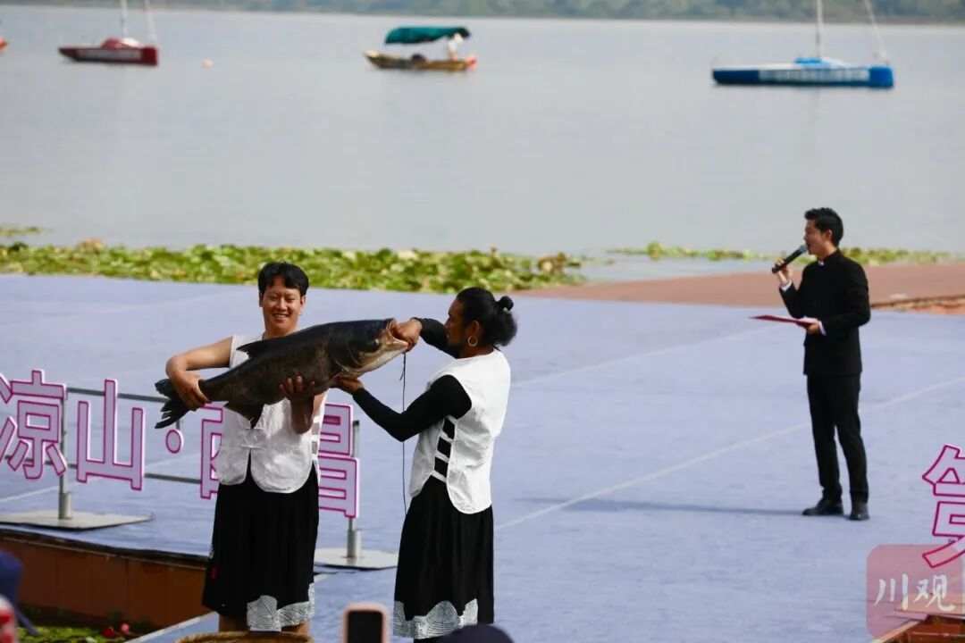 西昌邛海开海了!“鱼王”重68斤,拍出9.8万元 西昌邛海开海了!“鱼王”重68斤,拍出9.8万元