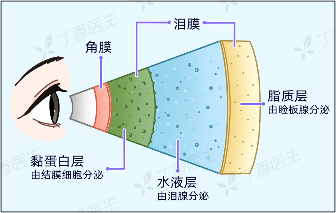 眼睛透支的一个信号，很多人却从没当回事！