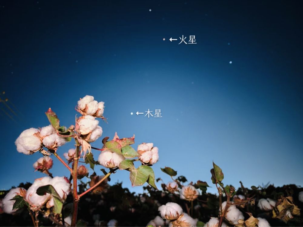 记得抬头看!未来几天“星月童话”将连续上演 记得抬头看!未来几天“星月童话”将连续上演