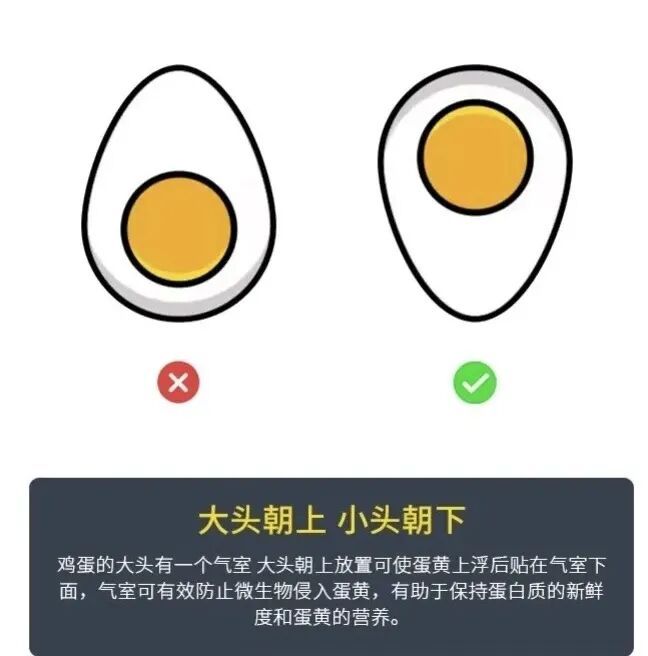 专家:买回来的鸡蛋千万别洗! 专家:买回来的鸡蛋千万别洗!