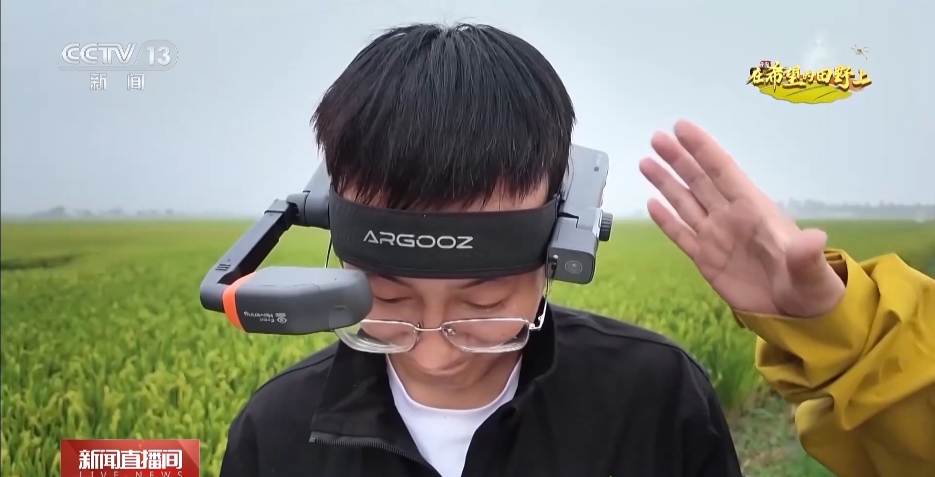 体长仅1毫米的稻飞虱怎么防？AI眼镜给稻田精准“把脉”