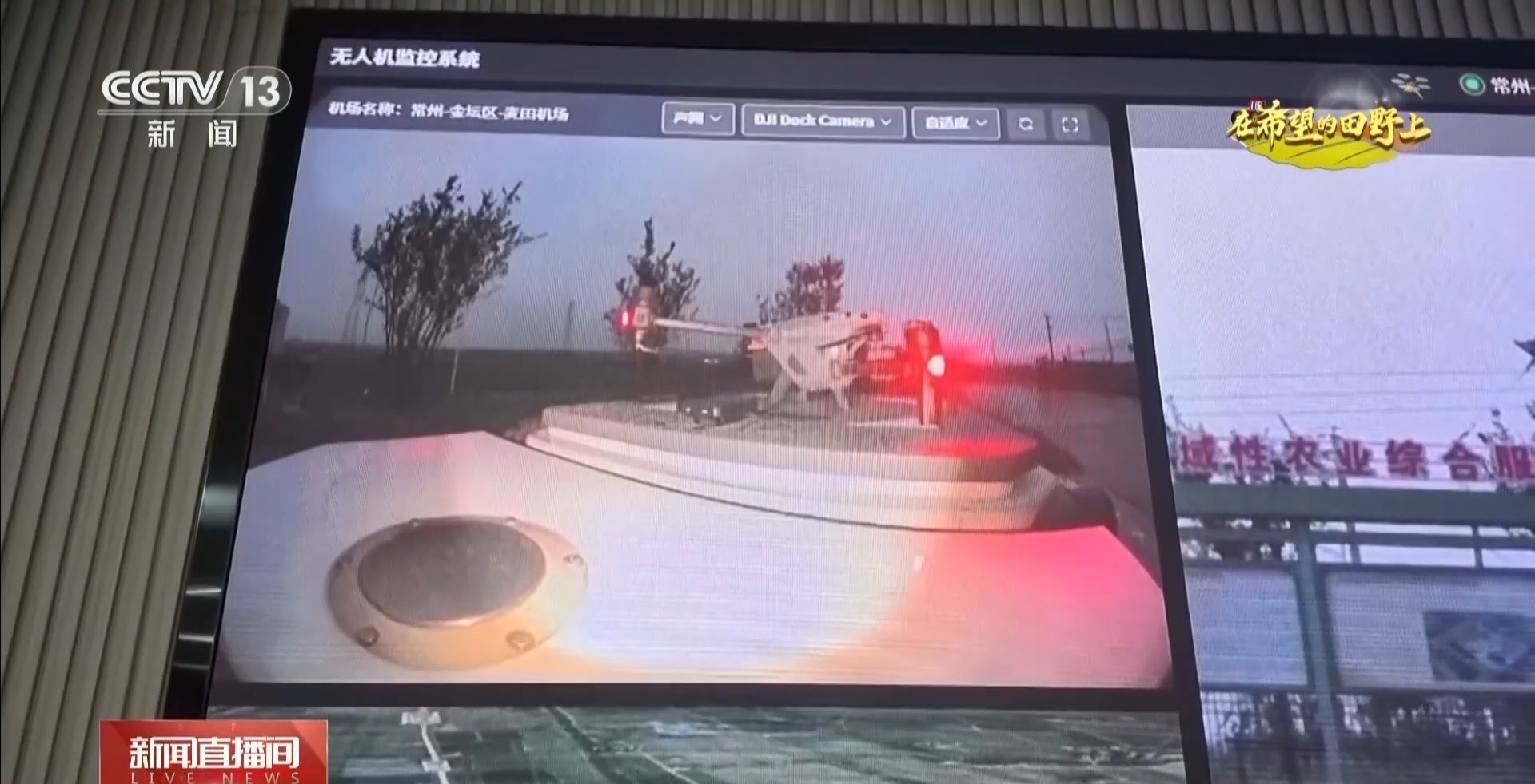 体长仅1毫米的稻飞虱怎么防？AI眼镜给稻田精准“把脉”