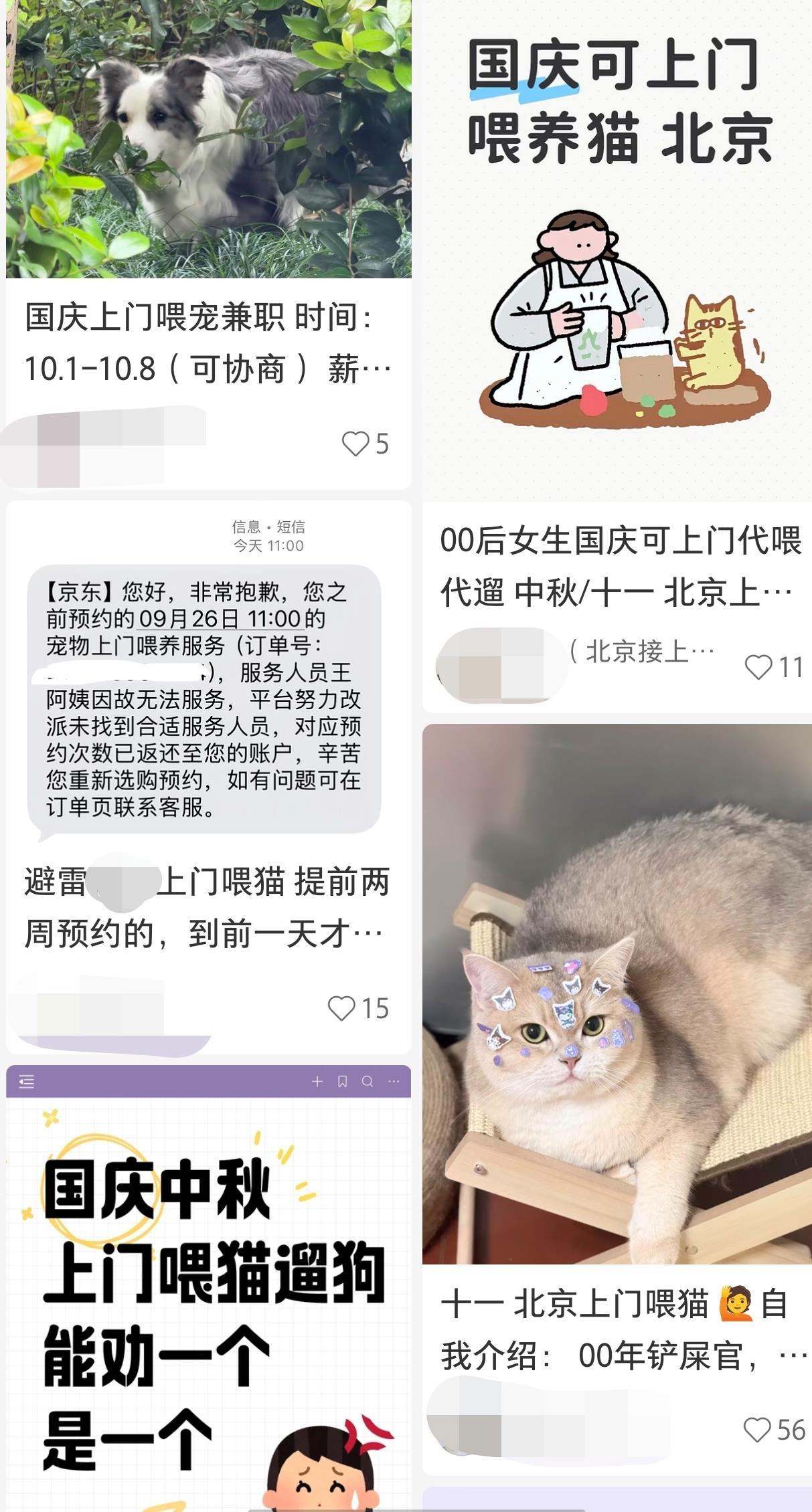 宠物上门喂养服务需求旺盛 新兴服务哪些风险不能忽视？
