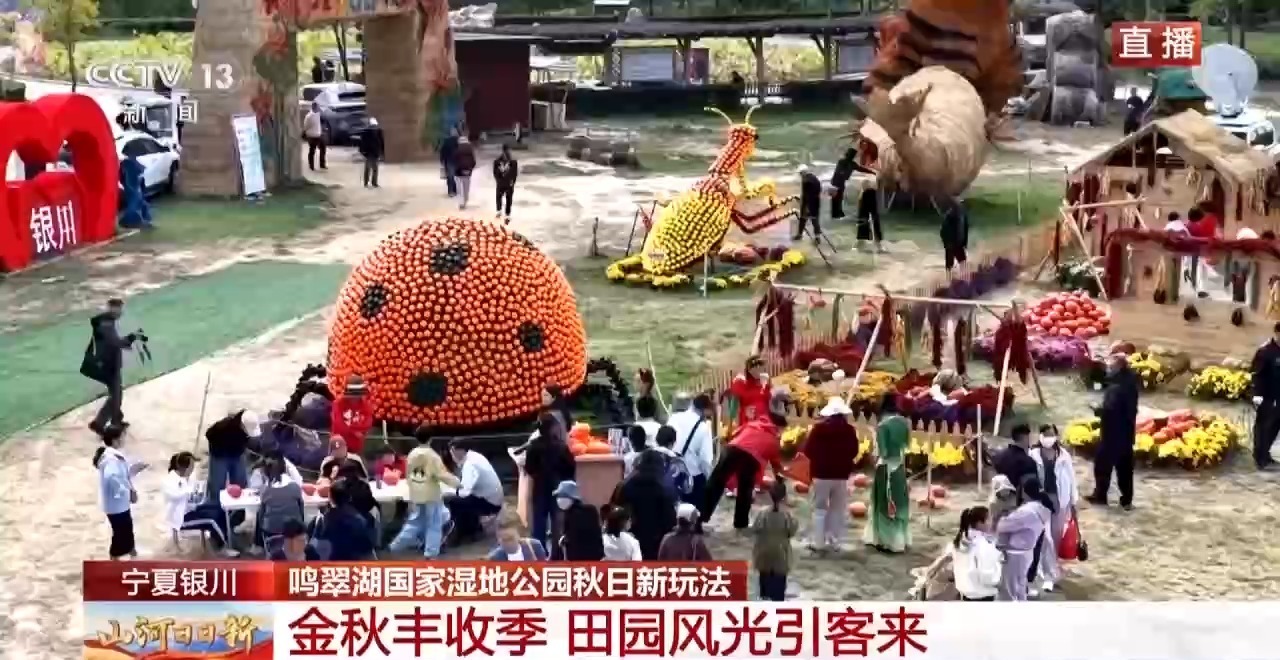 芦苇迷宫、萌宠乐园……来宁夏银川解锁秋日湿地新玩法 芦苇迷宫、萌宠乐园……来宁夏银川解锁秋日湿地新玩法