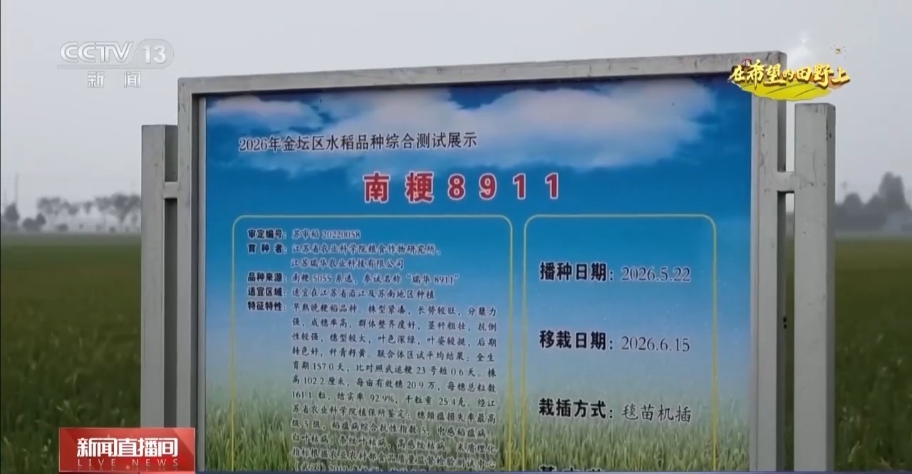 体长仅1毫米的稻飞虱怎么防？AI眼镜给稻田精准“把脉”