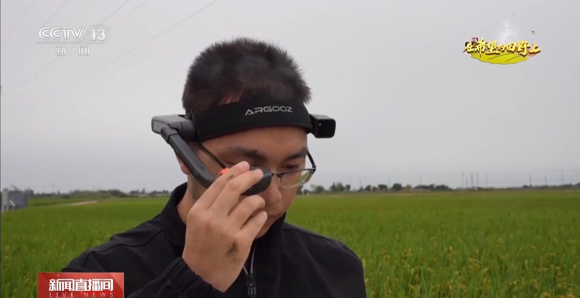 体长仅1毫米的稻飞虱怎么防？AI眼镜给稻田精准“把脉”