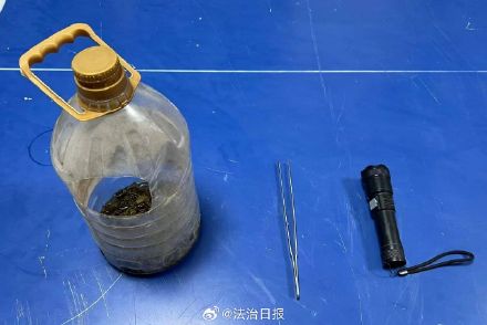 男子深夜在荒地抓野生蝎子泡酒