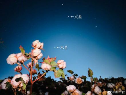 未来几天星月童话将连续上演 未来几天星月童话将连续上演