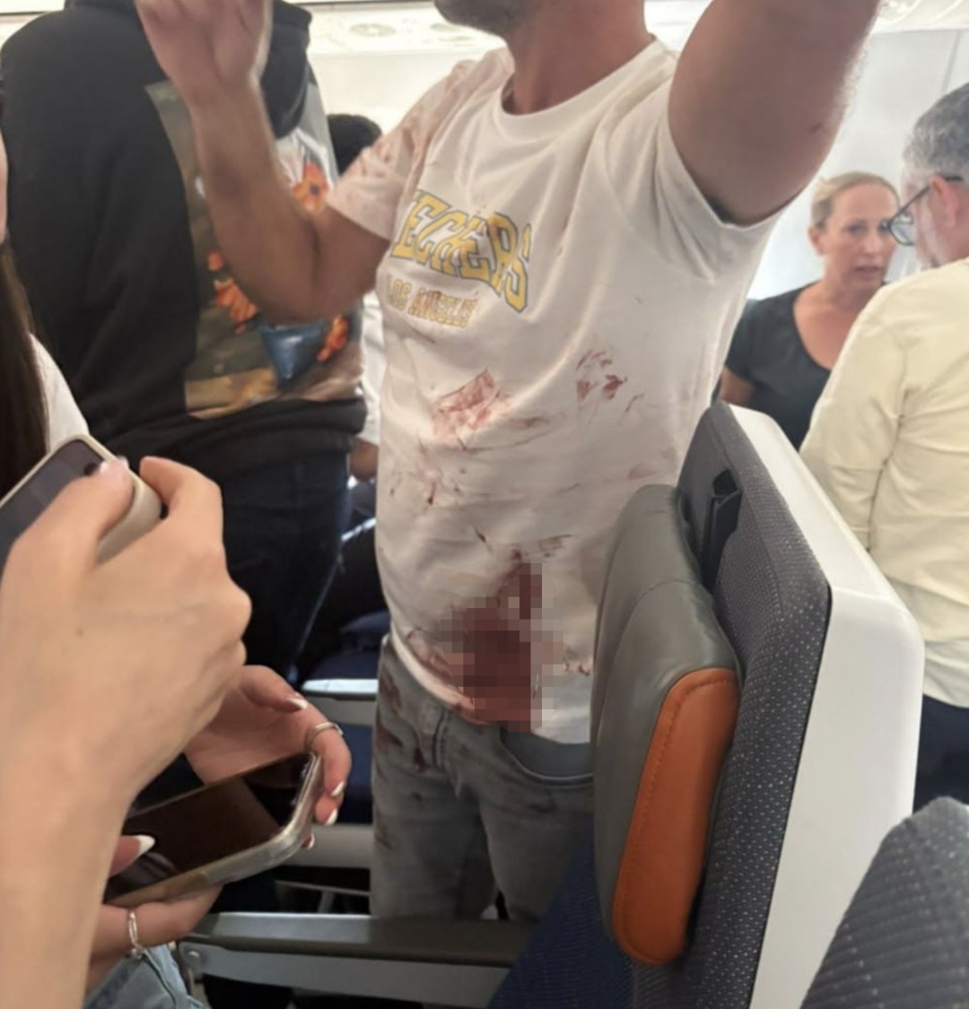 迪拜航空客机涉嫌刺伤机长的副驾驶承认，意图是“在以色列坠毁该飞机”