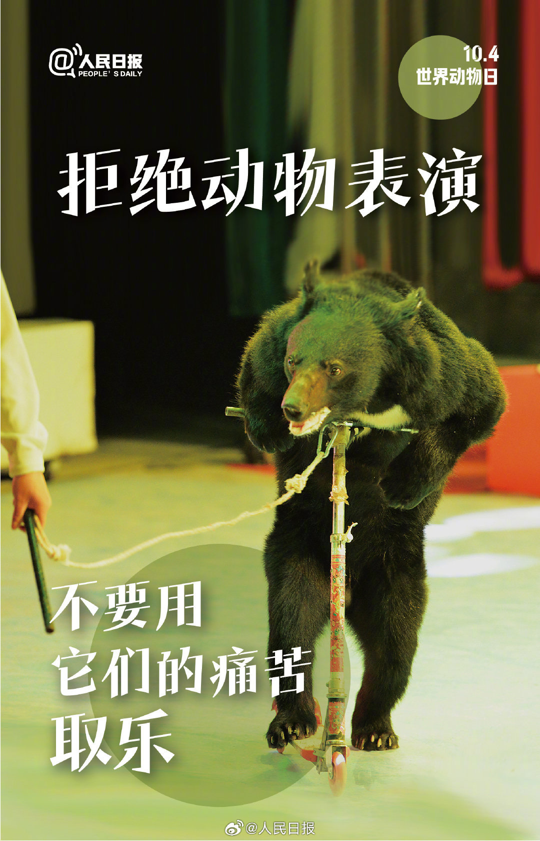 今天是世界动物日，每一个生灵都值得好好被对待