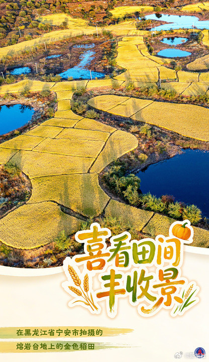 海报丨喜看田间丰收景