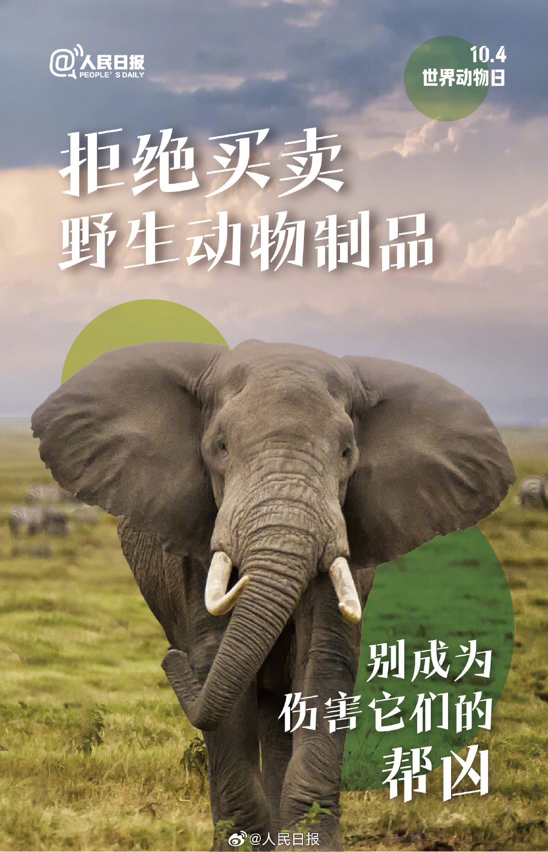 今天是世界动物日，每一个生灵都值得好好被对待