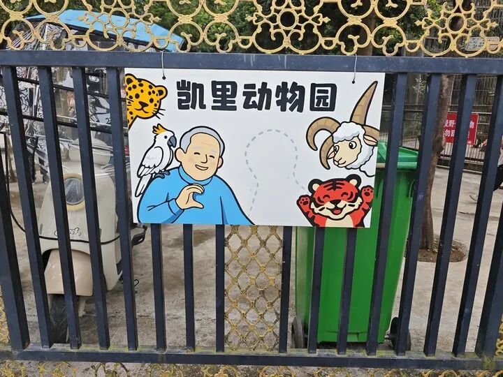 “最袖珍”“最寒酸”的动物园,走红一年后怎样了? “最袖珍”“最寒酸”的动物园,走红一年后怎样了?